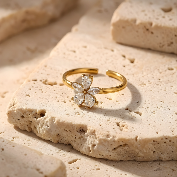 Anillo Lo Merezco