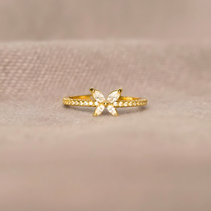 Anillo Despertar de la Conciencia