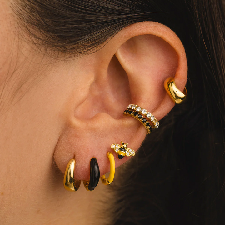 Aretes Evania