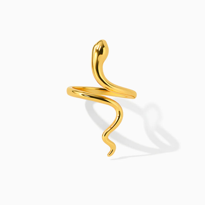 Anillo Renacer – Transformación y poder interior