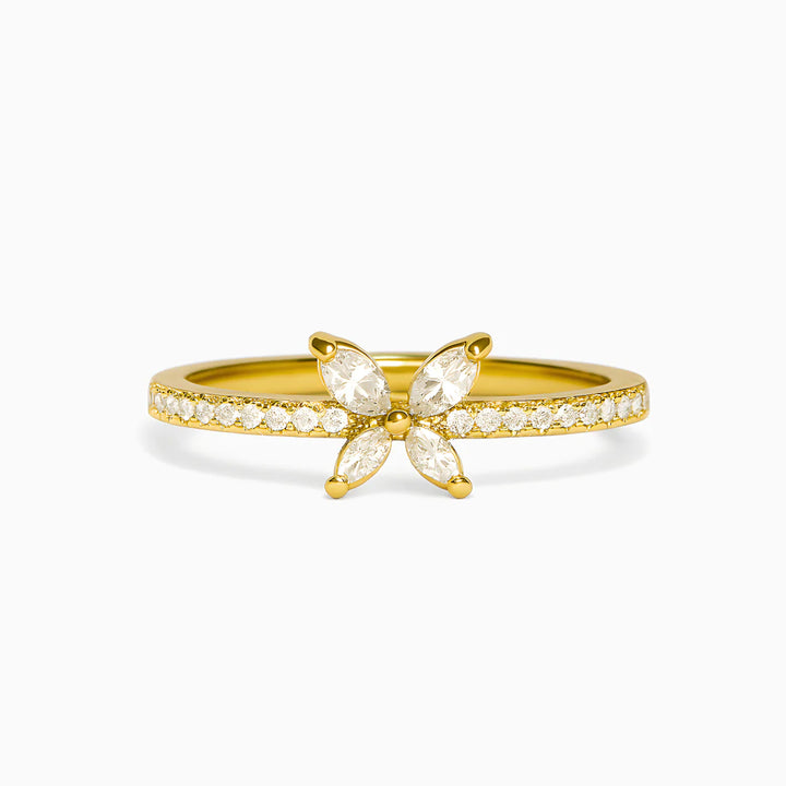 Anillo Despertar de la Conciencia